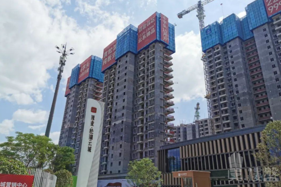 東莞中海松湖林語,首期5萬(減),香港銀行按揭