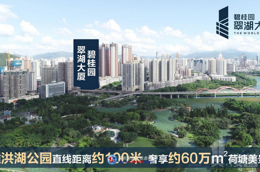 碧桂园翠湖大厦-深圳|首期5万(减)|铁路沿线,香港银行按揭,最新价单