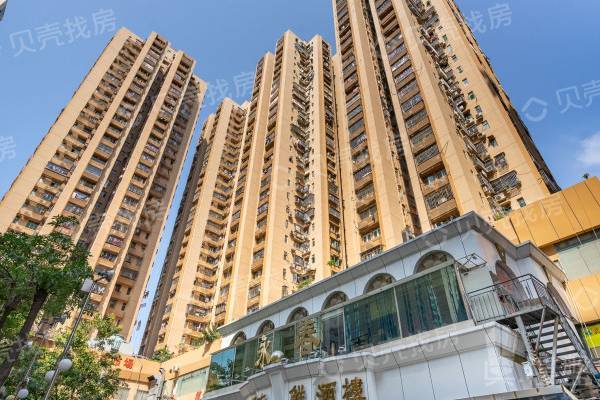 德興大廈|羅湖口岸,地鐵口物業,急買即收租