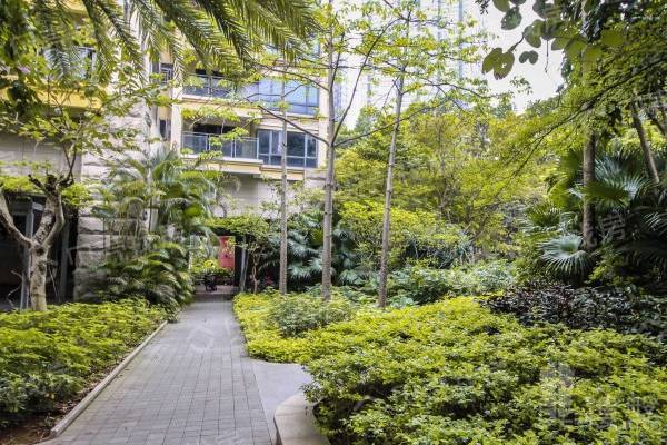 中旅國際公館|313平6房花園洋房*滿五年唯壹,免個稅,前後有花園