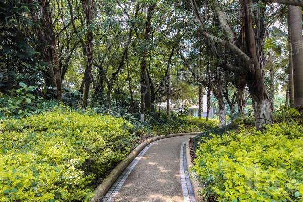 翠海花園|香蜜公園旁大社區，寬景客廳標準大四房，紅本滿五