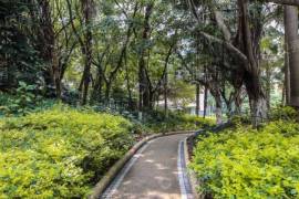 翠海花園|戶型方正敞亮|朝東朝南4+1房 地鐵口物業 視野開闊 南可看海看香港