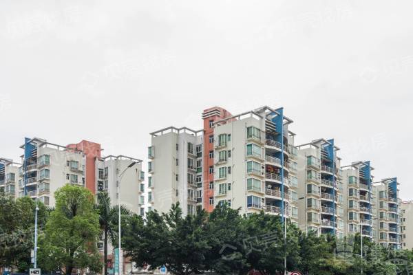 疊翠新峰花園|地鐵口物業|帶電梯的正規3房|成熟位置|低密度小高層