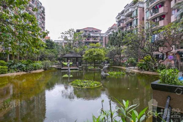 陽光花園|電梯三房|房屋朝南|全明格局廚房洗手間都采光極好 戶型方正實用
