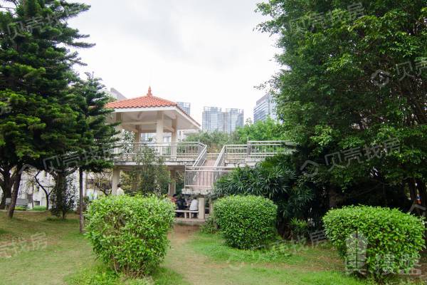 深圳紫薇花園|地鐵大三房|一梯二戶,正南朝向,采光視野開闊