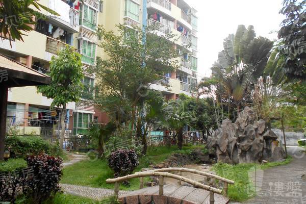 金洲嘉麗園|地鐵站100米,通透戶型,客廳正出陽臺,布局合理