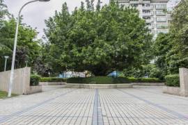 新龍崗花園|地鐵口物業，新龍崗花園，籃球場，60%綠化覆蓋