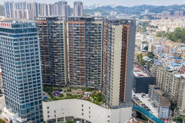 海心匯福園|下水徑地鐵站|3室2廳|業主自住