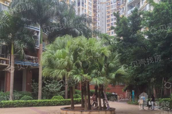 中翠花園|大芬地鐵口住家小區,交通便利,樓下商圈