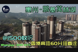 鵬基萬林湖_惠州|首期3萬(減)|@1500蚊呎|香港高鐵60分鐘直達|香港銀行按揭(實景航拍)