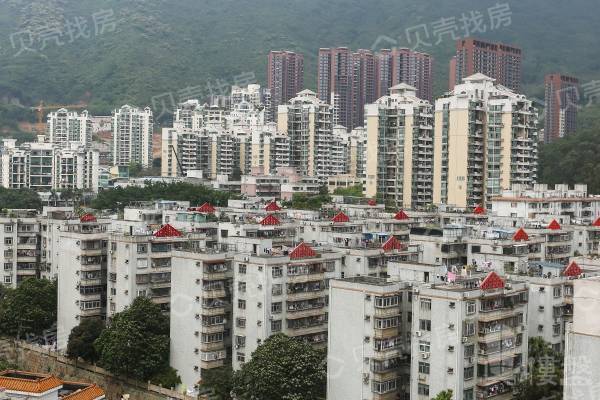畔山花園|羅湖蓮塘口岸,大四房,業主自住保養好