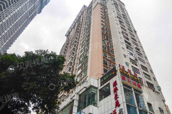 深港豪苑|紅嶺地鐵口物業,地王旁精裝壹房,租金高